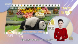 好妻子坚定